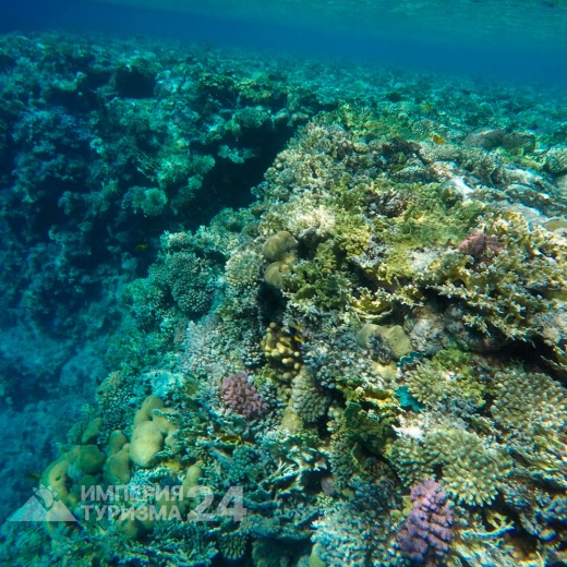 Экскурсия на остров Тиран на яхте с дайвингом