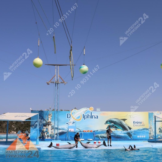 Экскурсия в дельфинарий в Хургаде