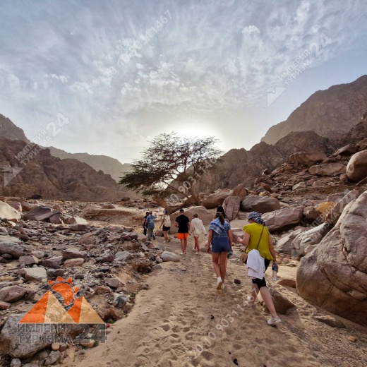 Экскурсия в Wadi El Weshwash
