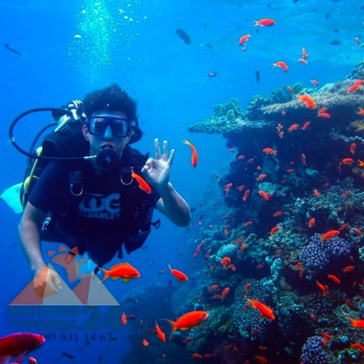 VIP-дайвинг с берега в Сахль-Хашиш