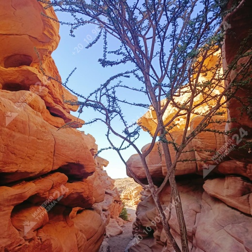 Экскурсия: Каньон Салама 4 в 1 и Голубая Дыра