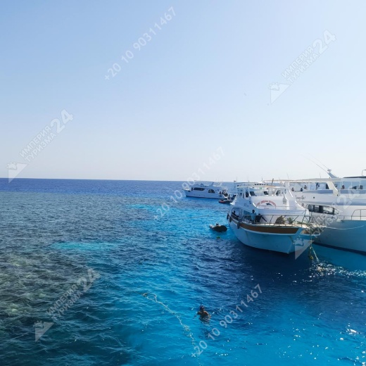 Экскурсия на остров Bianca из Хургады