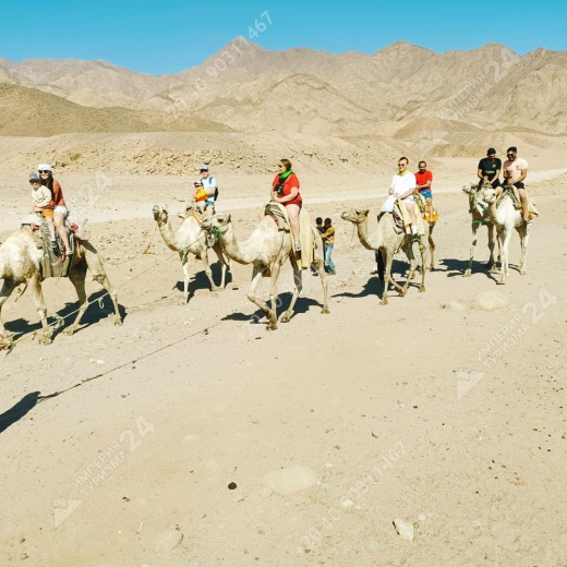 Экскурсия «Цветной каньон Салама 5 в 1»