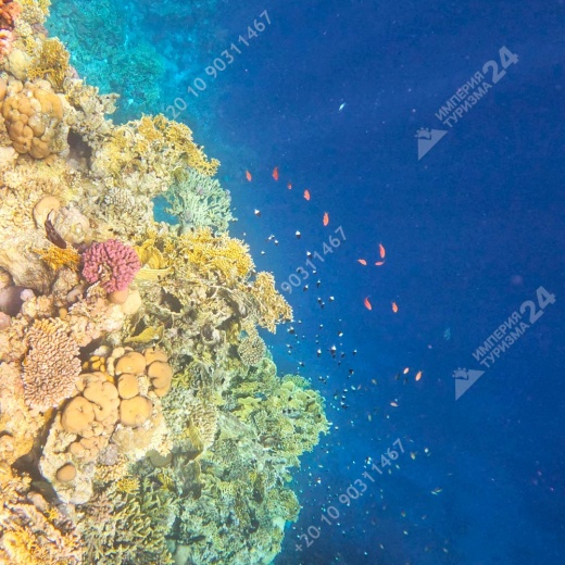 Экскурсия: Каньон Салама 4 в 1 и Голубая Дыра