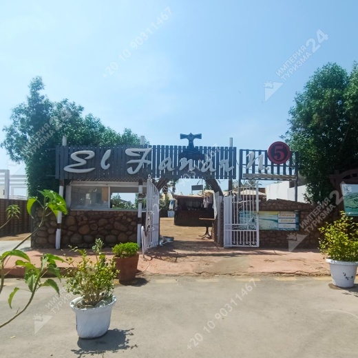 Дайвинг с берега в Эль Фанаре