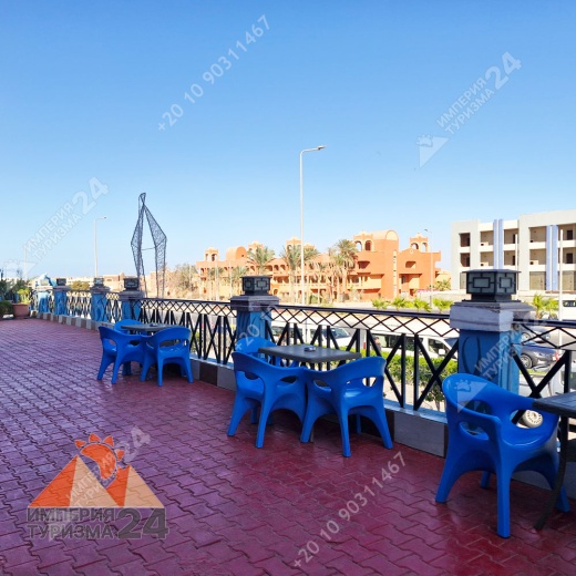 Экскурсия в дельфинарий в Шарм-эль-Шейхе