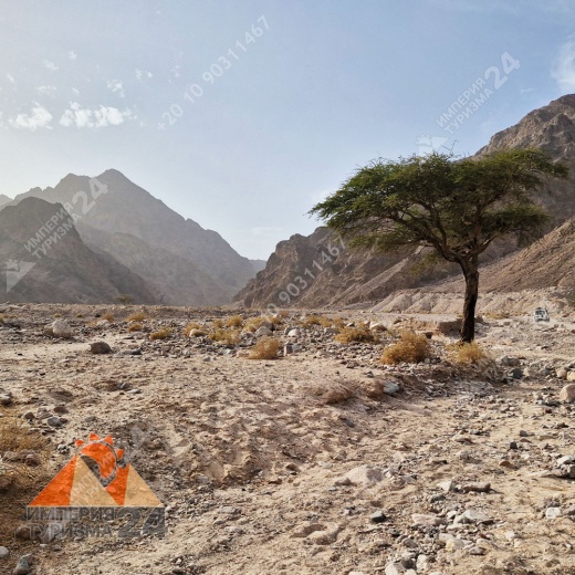 Экскурсия в Wadi El Weshwash