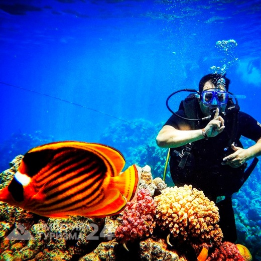 Дайвинг при наличии сертификата близ о.Тиран