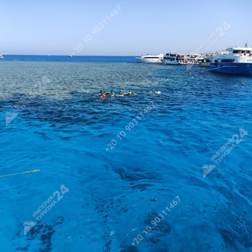 Экскурсия в Оранжевую бухту с дайвингом