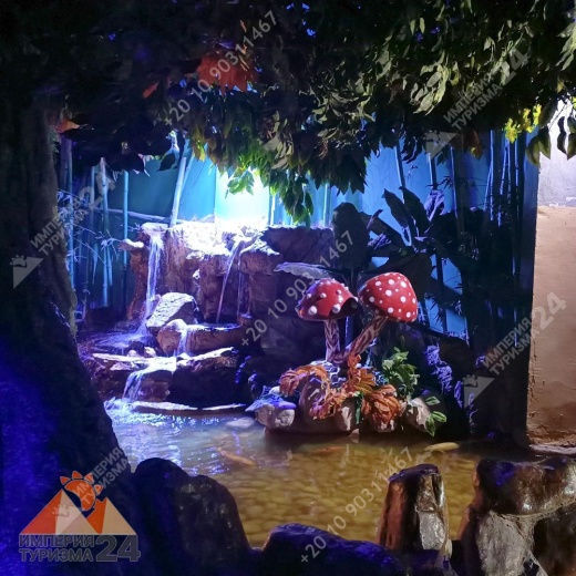 Экскурсия в Гранд Аквариум в Хургаде