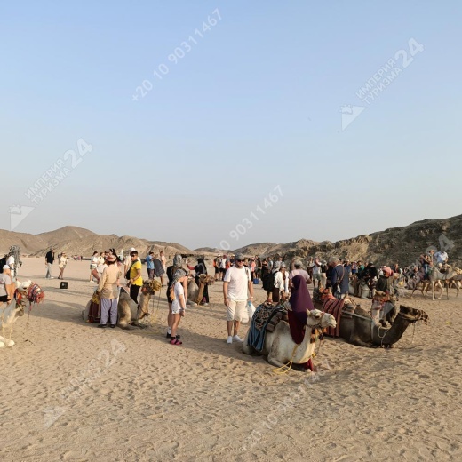 Экскурсия к оазису из Хургады