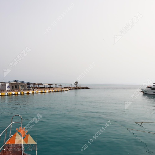 Экскурсия к Дому дельфинов в Хургаде