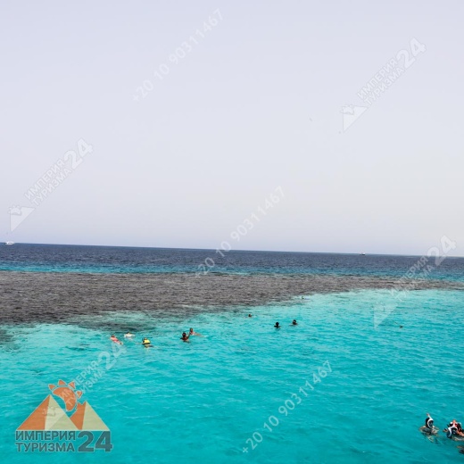 Экскурсия к Дому дельфинов в Хургаде