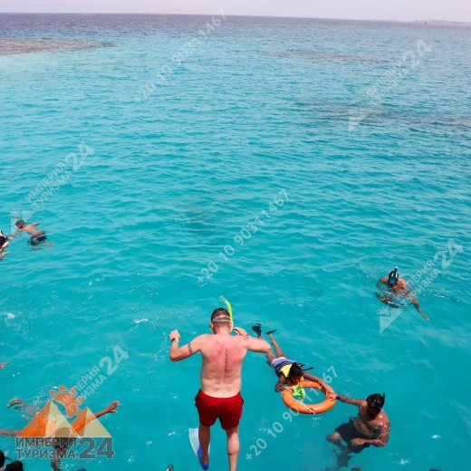 Экскурсия к Дому дельфинов в Хургаде