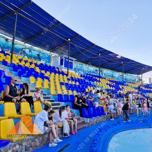 Экскурсия в дельфинарий в Шарм-эль-Шейхе