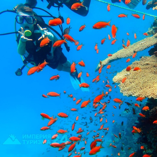 Экскурсия к Белому острову на яхте «Барбаросса»