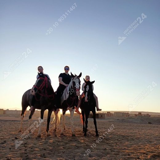 Прогулка на лошадях с купанием в Красном море