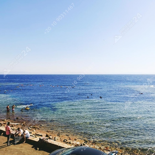 Экскурсия: Каньон Салама 4 в 1 и Голубая Дыра