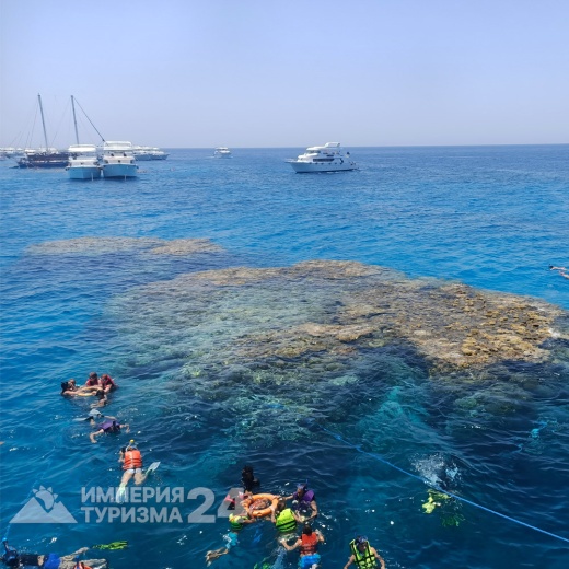 Экскурсия на Белый остров и Рас-Мохаммед