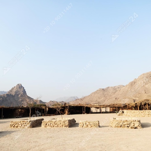 Экскурсия к оазису из Хургады