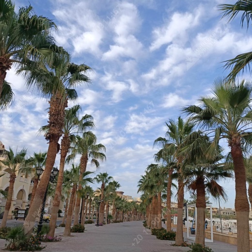 Экскурсия в Сахл-Хашиш и Песочный город