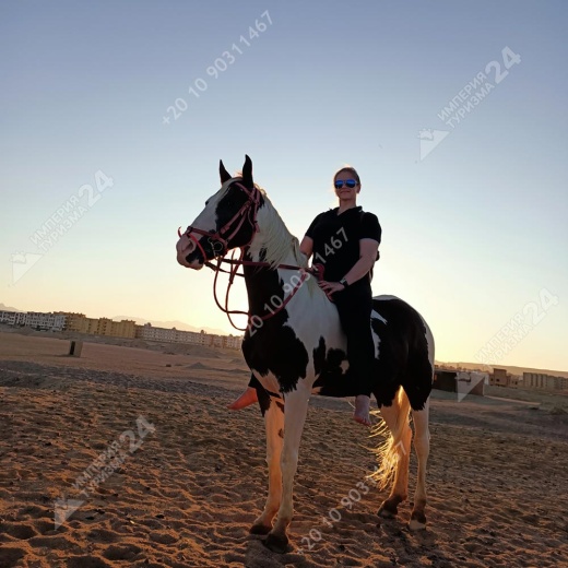 Прогулка на лошадях с купанием в Красном море
