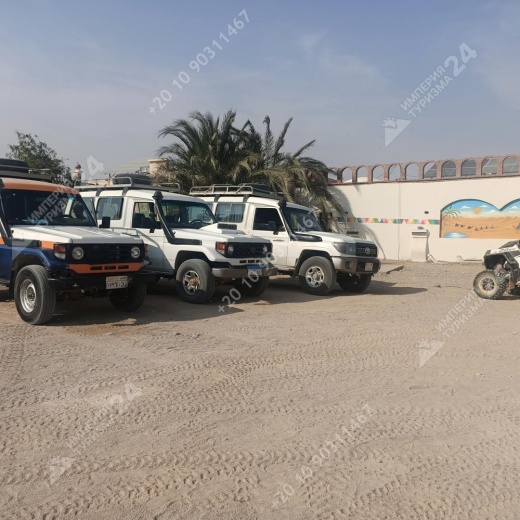 Экскурсия к оазису из Хургады