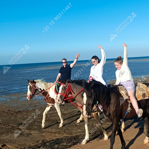 Прогулка на лошадях с купанием в Красном море