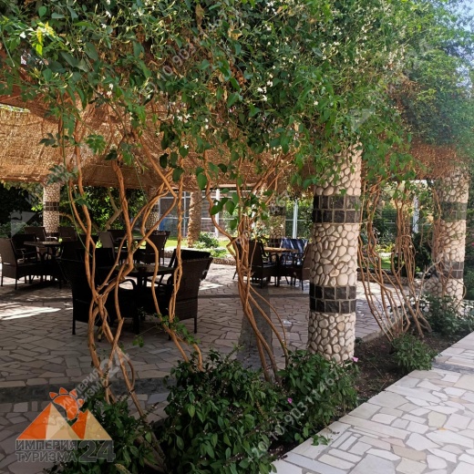 Экскурсия в Гранд Аквариум в Хургаде