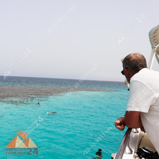 Экскурсия к Дому дельфинов в Хургаде