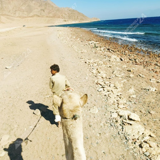 Экскурсия «Цветной каньон Салама 4 в 1»