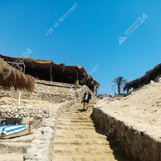 Дайвинг с берега в Эль Фанаре