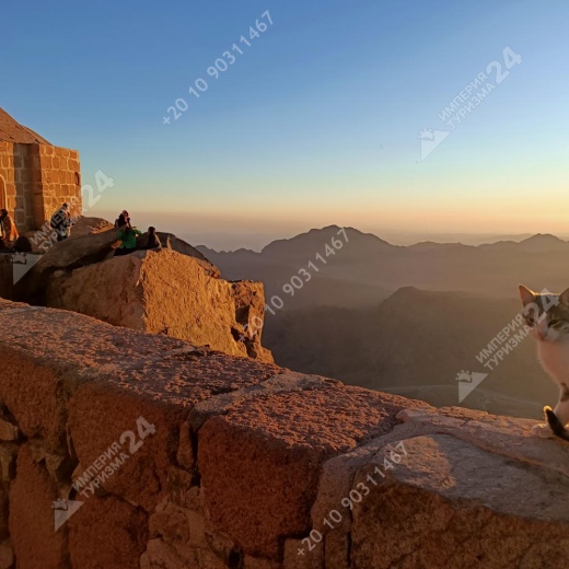 Экскурсия в монастырь Святой Екатерины и гору Моисея