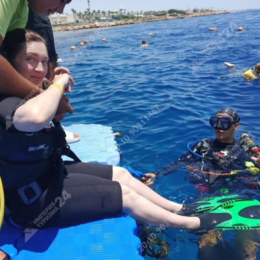 Дайвинг с берега Хилтон Шаркс Бэй