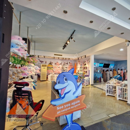 Экскурсия в дельфинарий в Шарм-эль-Шейхе