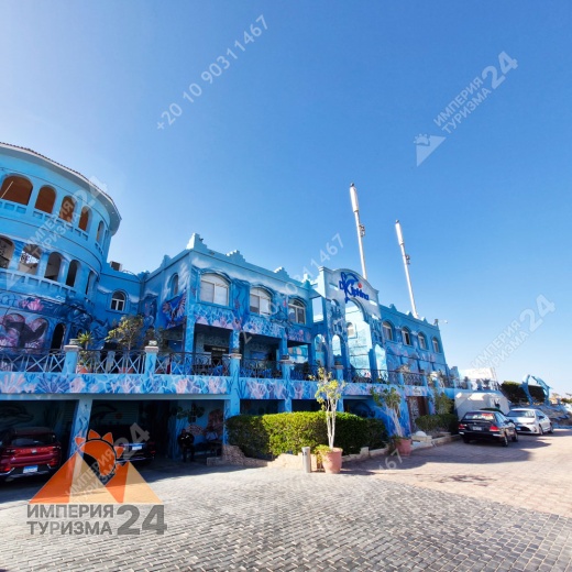 Экскурсия в дельфинарий в Шарм-эль-Шейхе