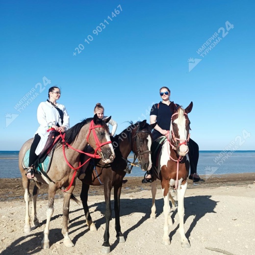 Прогулка на лошадях с купанием в Красном море