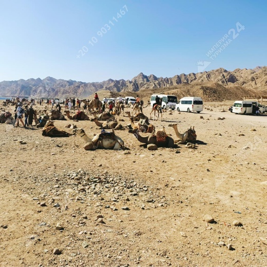 Экскурсия «Цветной каньон Салама 4 в 1»