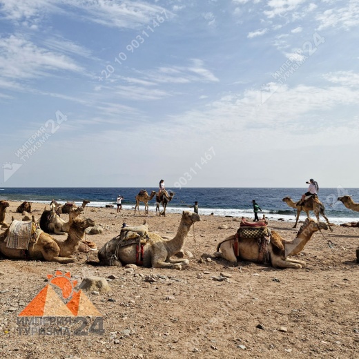 Экскурсия в Wadi El Weshwash