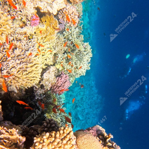 Экскурсия: Каньон Салама 4 в 1 и Голубая Дыра