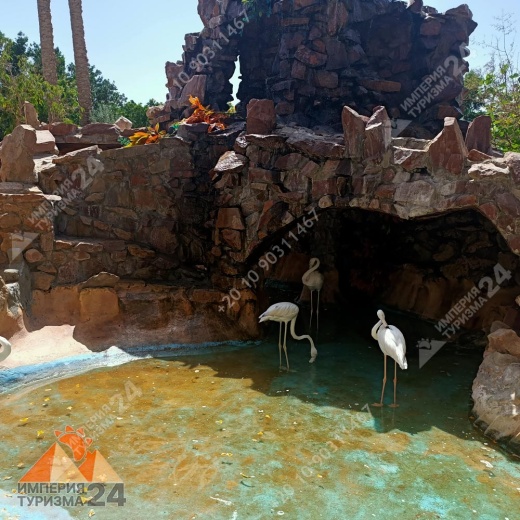 Экскурсия в Гранд Аквариум в Хургаде