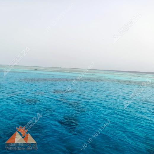 Экскурсия к Дому дельфинов в Хургаде