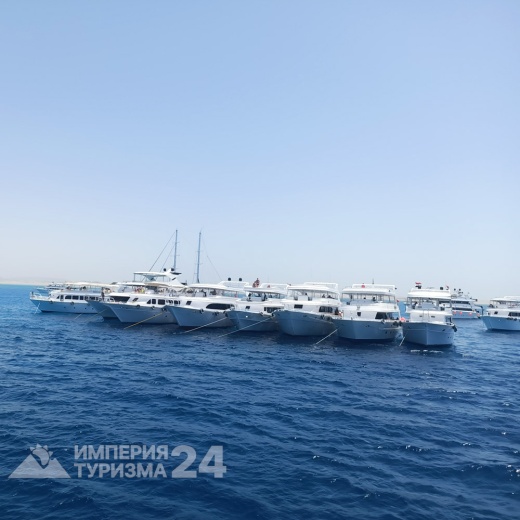 Экскурсия на Белый остров и Рас-Мохаммед