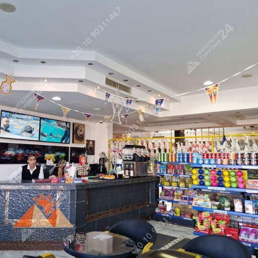 Экскурсия в дельфинарий в Шарм-эль-Шейхе