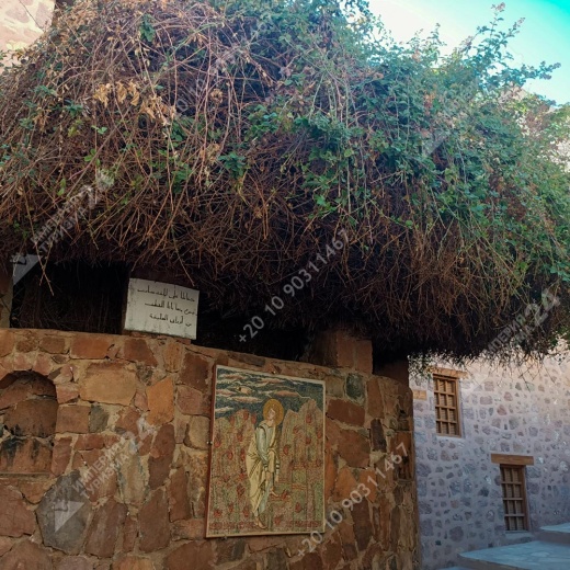 Экскурсия в монастырь Святой Екатерины