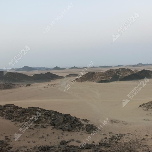 Экскурсия к оазису из Хургады