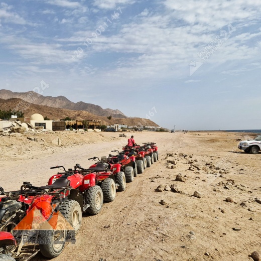 Экскурсия в Wadi El Weshwash