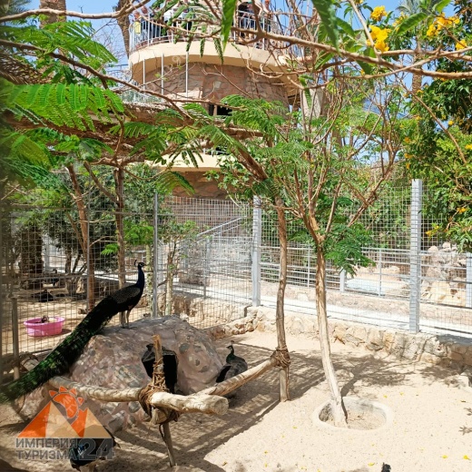 Экскурсия в Гранд Аквариум в Хургаде