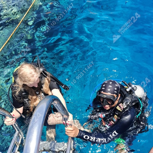 Дайвинг с берега Хилтон Шаркс Бэй