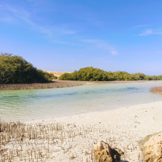 Экскурсия в Рас-Мохаммед на автобусе